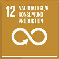 Icon mit Text "12-Nachhaltige/r Konsum und Produktion"